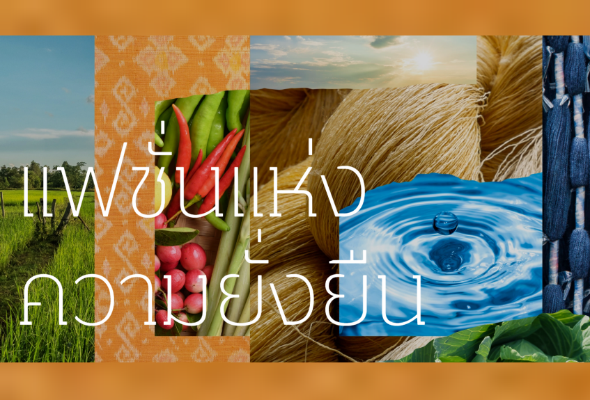 Example Information: CDD Chiang Mai follows the royal initiative of Princess Sirivannavari in searching for New Gen Young Designers.